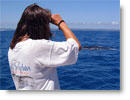 Steffi and Humpback Whale, Hervey Bay/Australia